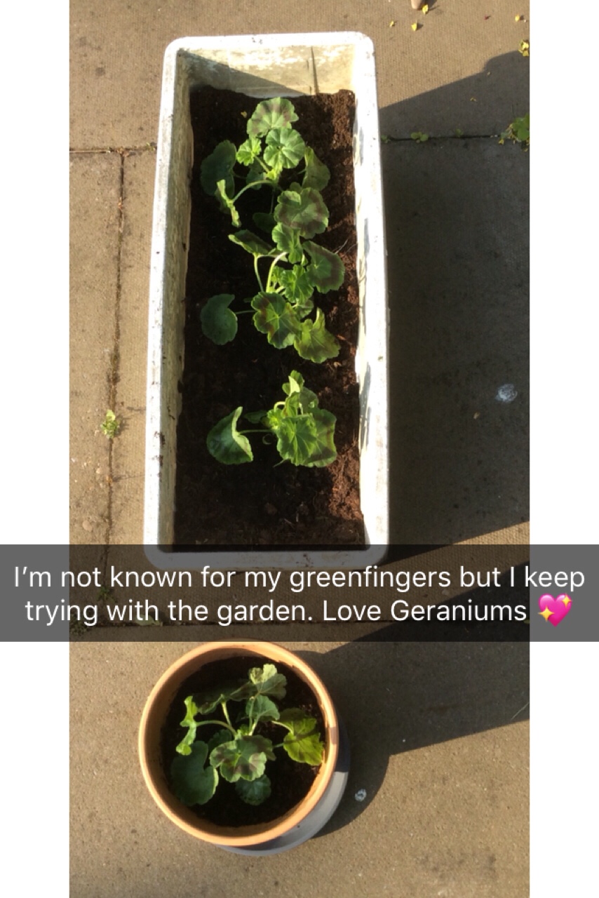 New favourite breakfast.